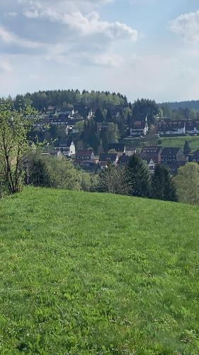 阿尔特瑙Ferienwohnung Kleine Auszeit in Altenau的一片绿草丛,后面有一座城镇