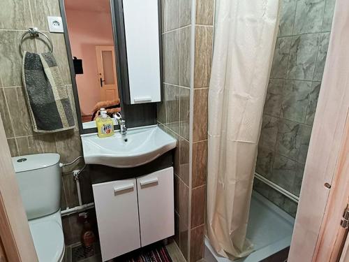 Rogljevo"Pivnica i smestaj Jovanovic"- Rogljevacke pivnice的浴室配有卫生间、盥洗盆和淋浴。