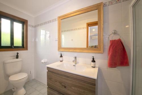 金德拜恩East Jindabyne- Cavallino 4 bedroom home的一间带水槽、卫生间和镜子的浴室