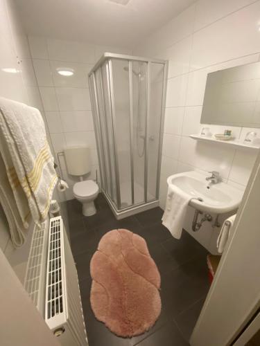 BetzdorfHotel Slavia的带淋浴、卫生间和盥洗盆的浴室