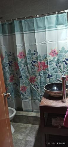 门多萨Los Nietos Temporario的浴室配有带水槽的浴帘