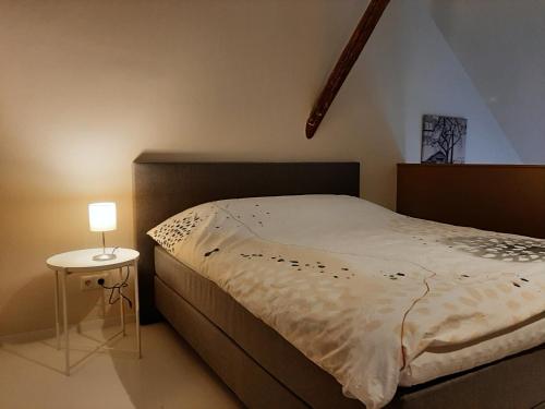 BafloAppartementen Hoek 2的一间卧室配有一张床和一张带台灯的桌子