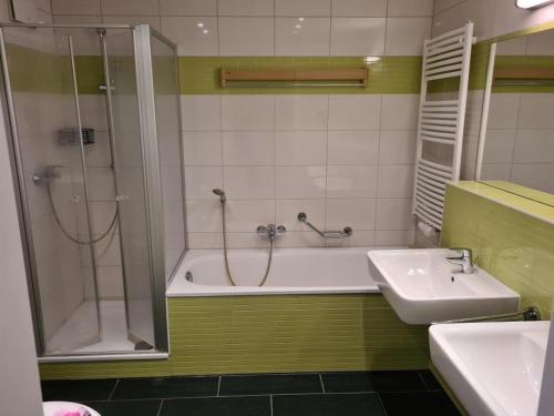 施托尔佩奥夫乌塞多姆Der Landhof Weide的带淋浴、浴缸和盥洗盆的浴室