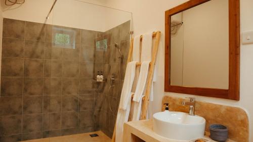 江比阿Villa Hibiscus Zanzibar的带淋浴、盥洗盆和镜子的浴室