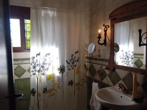 Santo Tomésol de membrillo的一间带水槽和淋浴帘的浴室