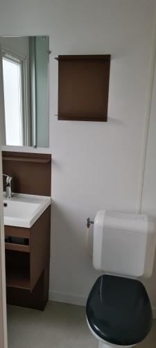 于尔克Mini-chalet - Vakantiepark 't Urkerbos的浴室配有白色卫生间和盥洗盆。