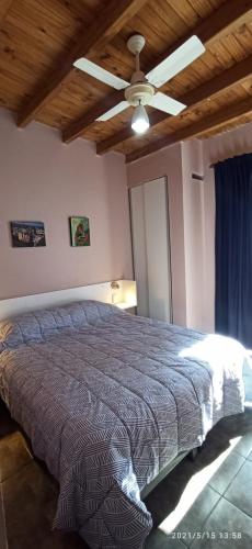 门多萨Los Nietos Temporario的一间卧室配有一张带吊扇的床