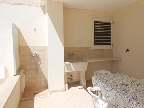 莱乌卡Casa Sasha的一间带水槽和淋浴的小浴室
