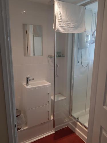 利德尼The Swan Hotel的带淋浴和盥洗盆的浴室
