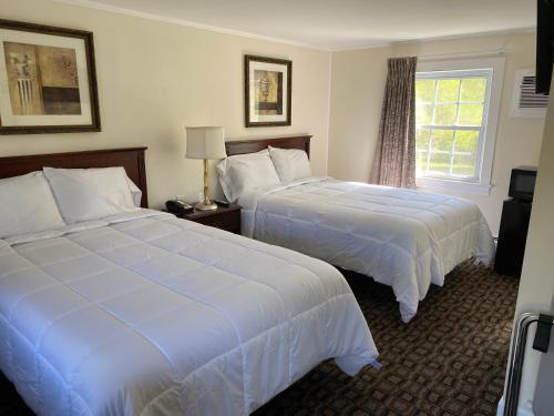 威廉斯敦村民汽车旅馆的酒店客房设有两张床和窗户。