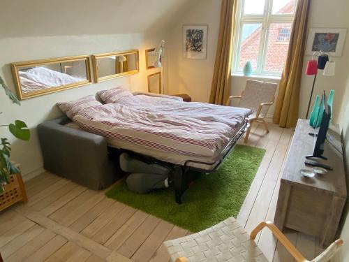 兰讷斯Goodnight Randers的绿地毯上的卧室