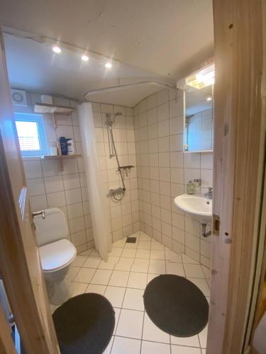 FarsøMargretelyst Ferielejlighed的一间带卫生间和水槽的浴室