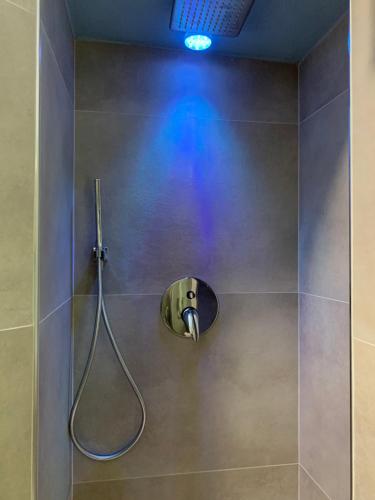 加尔多内-里维耶拉VALLE FIORITA 42 - Lake view Studio的带淋浴喷头的浴室