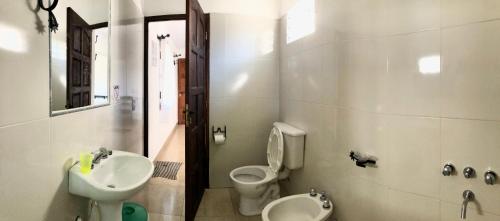ChicoanaHostal Los Faroles Chicoana的浴室配有盥洗盆、卫生间和盥洗盆。