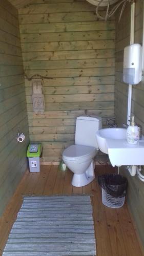 AnsekülaAnseküla Teelistemaja的一间带卫生间和水槽的浴室