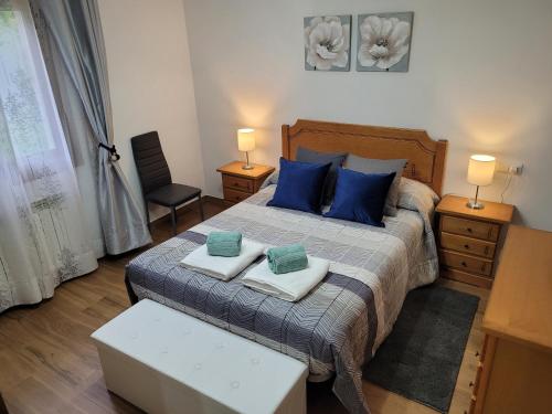 ArráyozGamioa-ttiki的一间卧室配有一张带蓝色枕头的大床