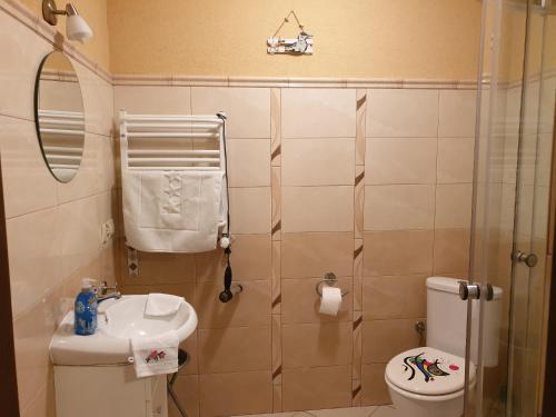 普热谢卡Pokoje Karkonosze的带淋浴、卫生间和盥洗盆的浴室