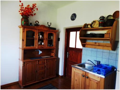 利马诺瓦Gospodarstwo Agroturystyczne U KRYSTYNY Krystyna Kurczab的厨房配有木制橱柜、水槽和窗户。