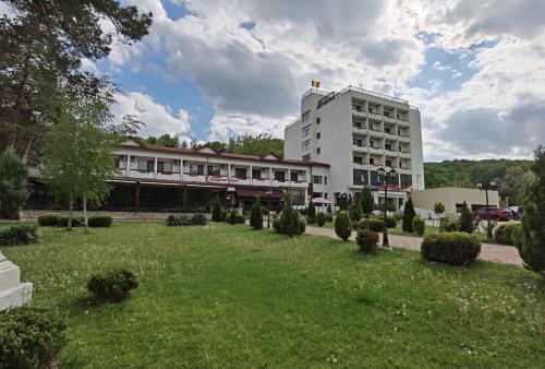 萨拉他蒙蒂鲁Hotel Spa Cazino Monteoru的大楼前方有草坪的大建筑