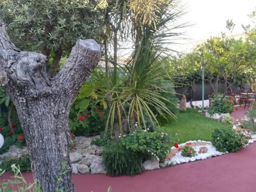 La Locanda di Circe外面的花园