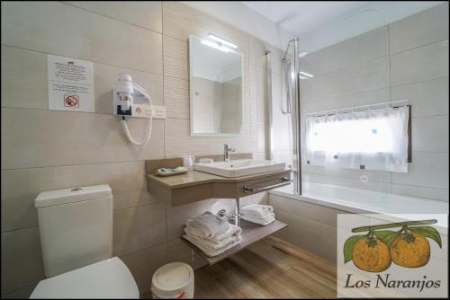MelegisHostal y Apartamento Rural Los Naranjos的一间带卫生间、水槽和镜子的浴室