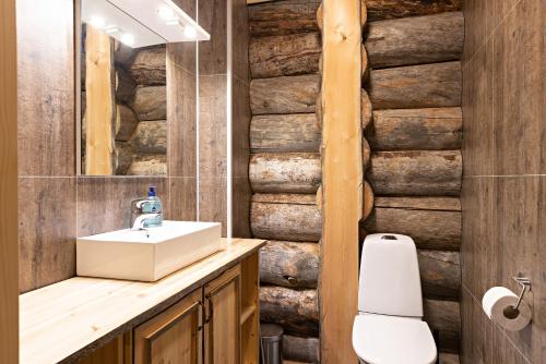 萨利色尔卡极光小屋度假屋的一间带水槽和木墙的浴室