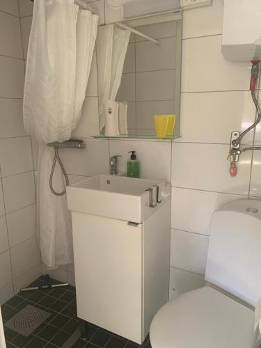 卢恩斯基尔Lyckorna 62:1的浴室配有白色水槽和卫生间。