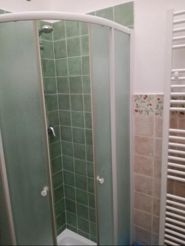 帕拉比塔Casa la Corte的一间铺有绿色瓷砖的淋浴浴室