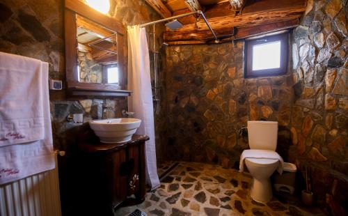 米奥修德萨斯Odai din Plai的石质浴室设有卫生间和水槽