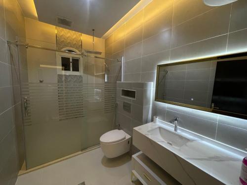 塔伊夫Luxury OVO Roof Villa的一间带卫生间、水槽和镜子的浴室