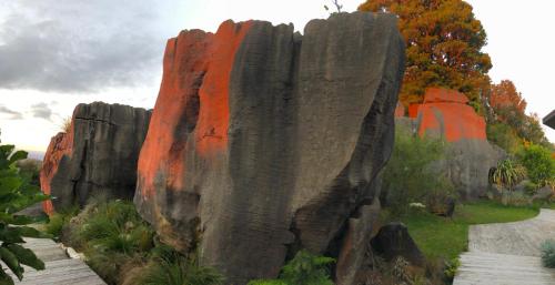怀托摩洞穴Rock Retreat B&B farmstay的花园中的一个大型岩层