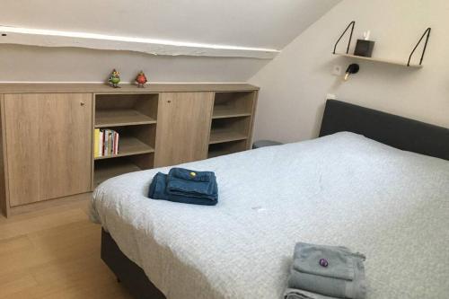 奥德纳尔德StudiO2 Ename, dakappartement in Vlaamse Ardennen的一间卧室,配有一张蓝色袋子的床