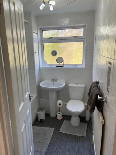 邓巴顿Dumbarton With A View的一间带卫生间和水槽的小浴室