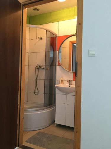 戈斯蒂宁Apartamenty w Młynie的带淋浴和盥洗盆的浴室
