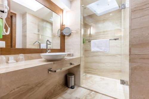 沃尔贾利Natura Mazur Resort & Conference的一间带水槽和淋浴的浴室