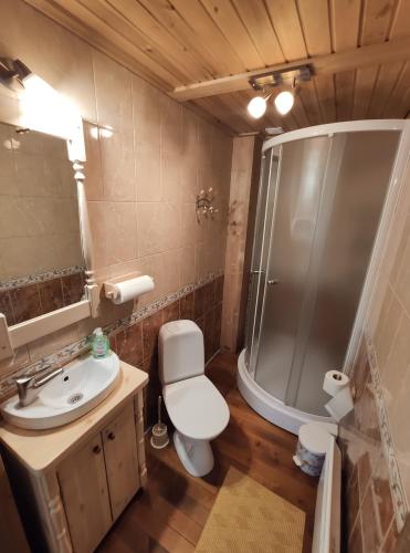 AvinurmeAvinurme Hostel的带淋浴、卫生间和盥洗盆的浴室