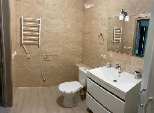 KopylovЗатишна однокімнатна квартира під Києвом的一间带卫生间和水槽的浴室