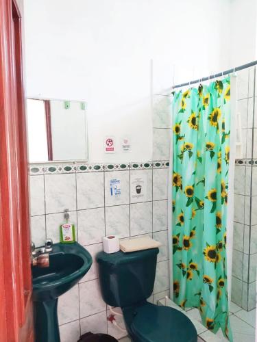 比亚米尔港Hostal Los Flamencos的浴室设有绿色卫生间和淋浴帘