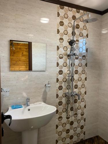 萨帕雷瓦巴尼亚Тихият кът的一间带水槽和淋浴的浴室