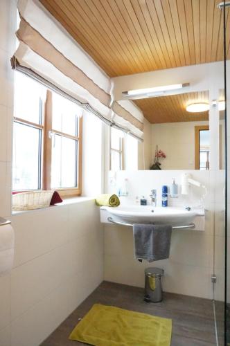 梅劳Haus Schwendinger的一间带水槽和淋浴的浴室