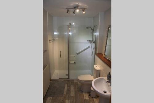 安格斯BELL ROCK VIEW ARBROATH的带淋浴、卫生间和盥洗盆的浴室