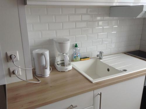 克莱蒙费朗麦尔公寓的厨房柜台配有搅拌机和水槽
