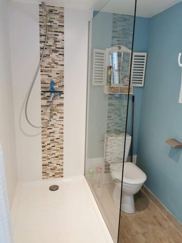 吕内尔Chambre d'hôtes的一间带卫生间和玻璃淋浴间的浴室