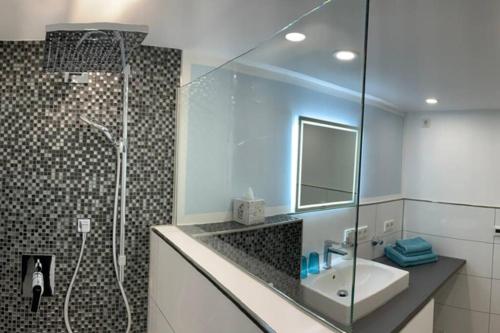 波恩Modern renovated apartment suited for business consultants in close distance to DT, DHL and UN Campus的带淋浴、盥洗盆和镜子的浴室
