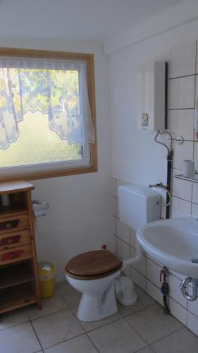 WeitenhagenAm Wolfsbach 5的一间带卫生间、水槽和窗户的浴室