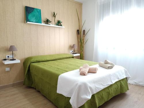 圣费尔南多Apartamentos Coralba - El Escondite de la Bahía的一间卧室配有绿床和2条毛巾
