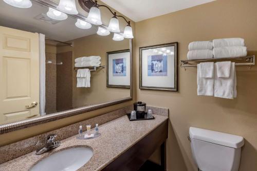 Comfort Inn & Suites Virginia Beach - Norfolk Airport的一间浴室