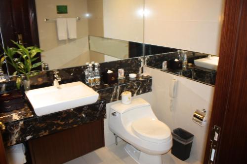 芜湖芜湖新百金陵大酒店的浴室配有白色卫生间和盥洗盆。