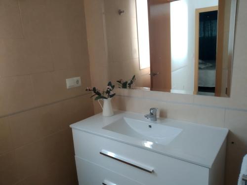 瓜迪亚纳河畔桑卢卡尔La Tinajita的浴室设有白色水槽和镜子