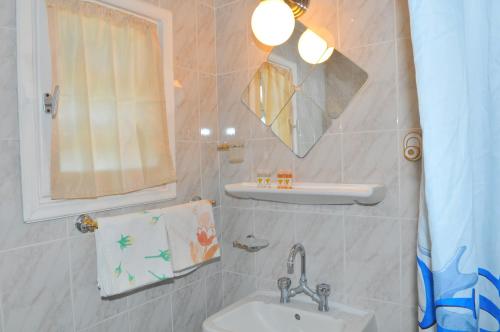Oasis Hotel Theodoros & Litsa Galaris的一间浴室